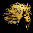 West End Production of TINA to Hold Open Auditions for Young Tina Turner