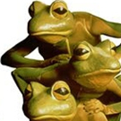 Patchogue Theatre Presents FROGZ! Photo
