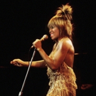 TINA: SIMPLY THE BEST to Debut in Durban This Festive Season