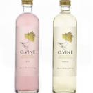 Wine Water Reinventing the Near Water Category