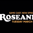 VIDEO: Check out the New Trailer For Upcoming ROSEANNE Reboot Video