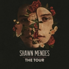 Shawn Mendes Announces 2019 Global Arena Tour Dates Photo