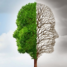 Gary Beck Releases New Poetry Book, PERTURBATIONS