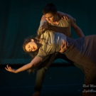 Local Dance Company Brings Awareness to World Wide Disease: Donates Proceeds to Natio Photo
