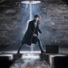 Photo Flash: First Look Images from FANTASTIC BEASTS: THE CRIMES OF GRINDELWALD