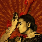 Music Box Films Announces CHAVELA on DVD & VOD 1/2/17 Photo