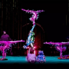 Cirque du Soleil's VAREKAI Adds Performance in Frisco Video