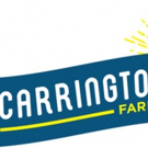 Introducing Crounon: Carrington Farms' Latest Organic, Gluten-Free Innovation