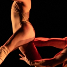 BWW Review: New Life: PILOBOLUS: BRANCHES at Veterans Auditorium Video