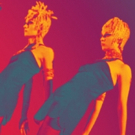 Hey, Big Spender! Transport Group Announces SWEET CHARITY IN CONCERT