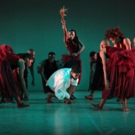 BWW Review: Re-telling a Twist of a Story with DADA MASILO/THE DANCE FACTORY Photo
