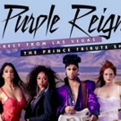 Prince Tribute, Purple Reign, Comes To Worcester Photo