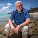 Smithsonian Channel Presents DAVID ATTENBOROUGH'S GREAT BARRIER REEF, Today Video