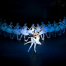 Saint Petersburg Classic Ballet Presents Double Bill of GISELLE and SWAN LAKE Photo