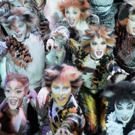 BWW Feature: CATS at Nieuwe Luxor Rotterdam: Return of the Cats!