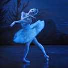 BWW Review: SWAN LAKE, Richmond Theatre