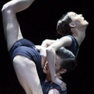 The National Ballet Of Canada Posts Surplus For Eighth Consecutive Season Photo