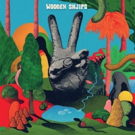 Wooden Shjips Announce New Album 'V'; Share New Song 'Staring At The Sun' Photo
