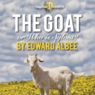 BWW Review: Rebecca Robinson Delivers Remarkable Performance in Albee's THE GOAT