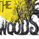 INTO THE WOODS Comes To StoryBook Theatre 8/18