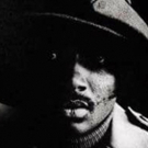 BWW Review: THE VOICES OF DONNY HATHAWAY - A Stellar Premier Video