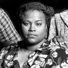 BWW Review: THE GLASS MENAGERIE Glistens at The Firehouse Theatre