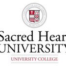 Sacred Heart University's Theatre Arts Program Presents BE MORE CHILL Photo