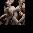 BWW REVIEW: MURPHY Is A Beautiful Celebration Of Acclaimed Australian Choreographer G Video