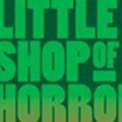 LITTLE SHOP OF HORRORS Opens Tonight at Phoenix Theatre Photo