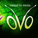 CIRQUE DU SOLEIL's OVO Says Goodbye To London Sunday, March 4