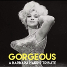 Nicholas Barasch And Kerry Ipema Set For Gorgeous: A Barbara Harris Tribute At The Gr Photo