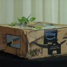 VIDEO: Trump's Bashing Sparks New Amazon Delivery Service