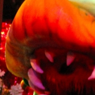 BWW Review: LITTLE SHOP OF HORRORS at Broadway Palm Photo