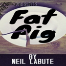 Windham Theatre Guild Presents the Fractured Theatre Series' First Production FAT PIG Photo