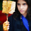 Satellite Collective Announces ECHO & NARCISSUS