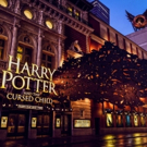 Brief 3/1: LOBBY HERO Begins Previews, AMY AND THE ORPHANS Opens, and More! Image