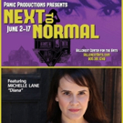 Panic! Productions Begins 2018 Season With Pulitzer Winning Musical NEXT TO NORMAL Photo