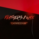 Norwegian Dance-Rockers DATAROCK Release FEATHERS AND WAX Ahead of First New Album in Photo