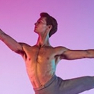 Vote For Your Favourite Dancer In The Telstra Ballet Dancer Award