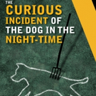 Actors Theatre Of Louisville Presents THE CURIOUS INCIDENT OF THE DOG IN THE NIGHT-TI Photo