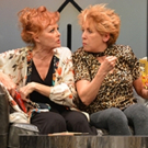Delaware REP Presents New Comedy By Chisa Hutchinson