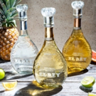 El Rey Tequila: Reigning Supreme