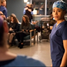 BWW Recap: GREY'S ANATOMY Offers Up a Heartbreaking Episode that Explores the Current Photo