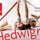 The Arts Club of Chicago Presents Hedwig Dances' HEDWIGNITES Video