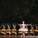 National Ballet of Canada Announces Principal Casting for THE SLEEPING BEAUTY Video
