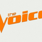 The First Round of Advancing Artists from the Premiere Episode of THE VOICE Photo