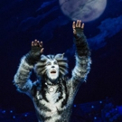 Come to the Jellicle Ball! London Revival Production of CATS Visits Manila! Video