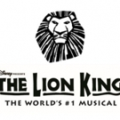 Disney's THE LION KING Comes to The Van Wezel Performing Arts Hall Photo