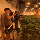 CANNABIZ Mini-Documentary Series Gets Fitting 4/20 Premiere on 420TV Photo