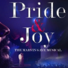 PRIDE & JOY - THE MARVIN GAYE MUSICAL Comes to Chicago Theatre Photo